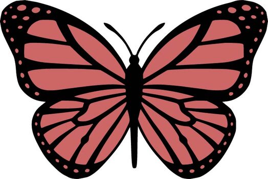 Download Layered Butterfly Svg Cut File Cricut Svg Cricut Cutting File Download Free Vector For Laser Cutting SVG, PNG, EPS, DXF File